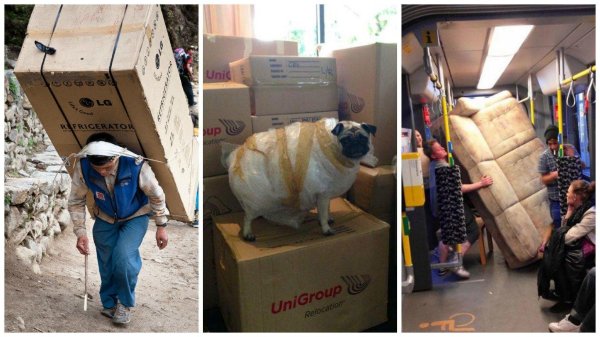 грузчики смешные