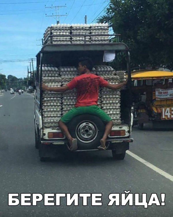 берегите яйца