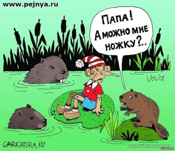 мультяшные бобры