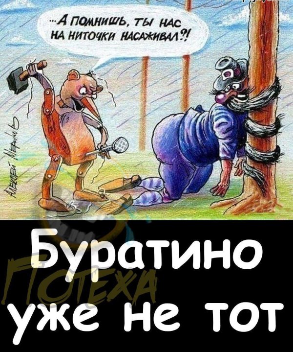 буратино юмор