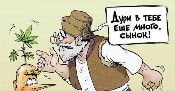 дури в тебе еще много сынок