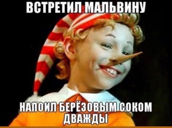 буратино мем