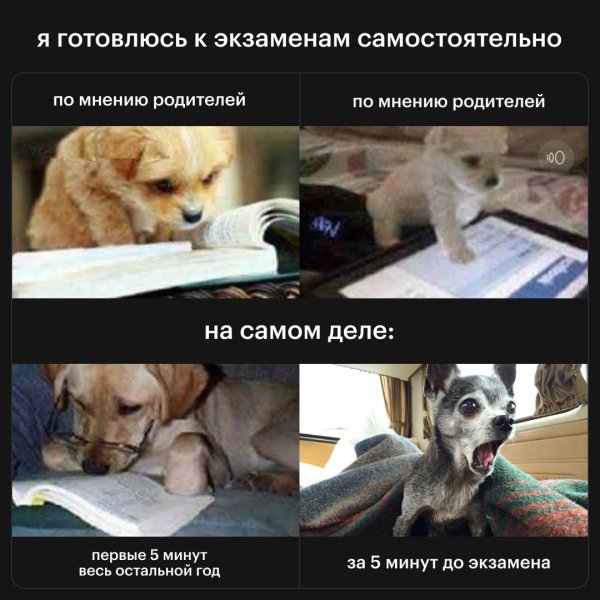 перед экзаменом