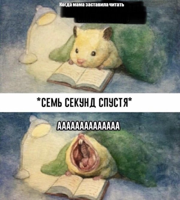 акварельный хомяк