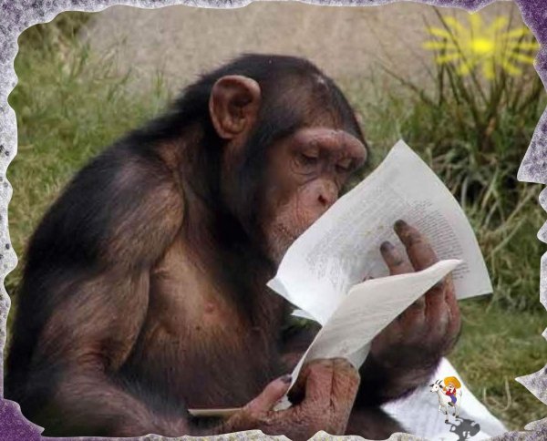 обезьяна умная