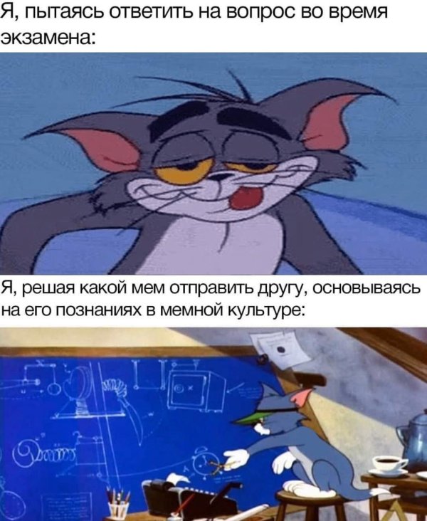 мемы жизнь налаживается