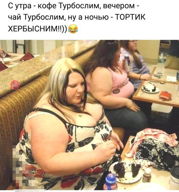 девушки толстые