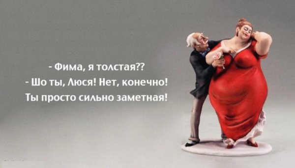 шутки про толстых