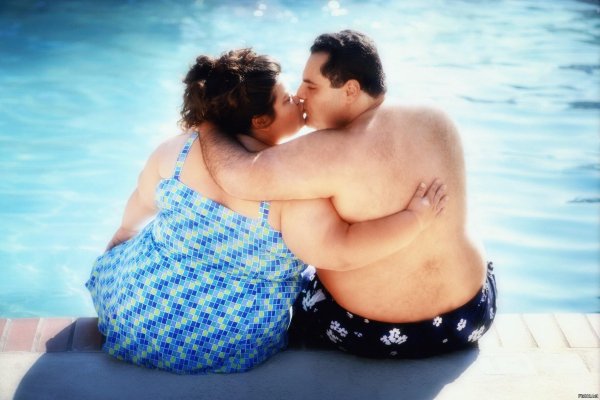 жирная парочка