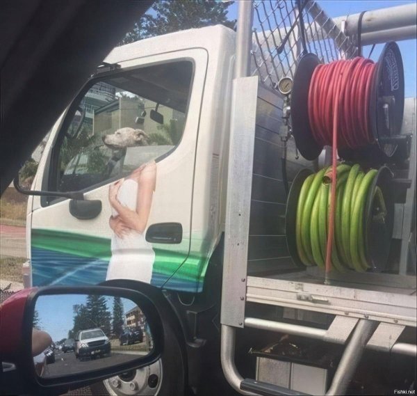 девушки и грузовики