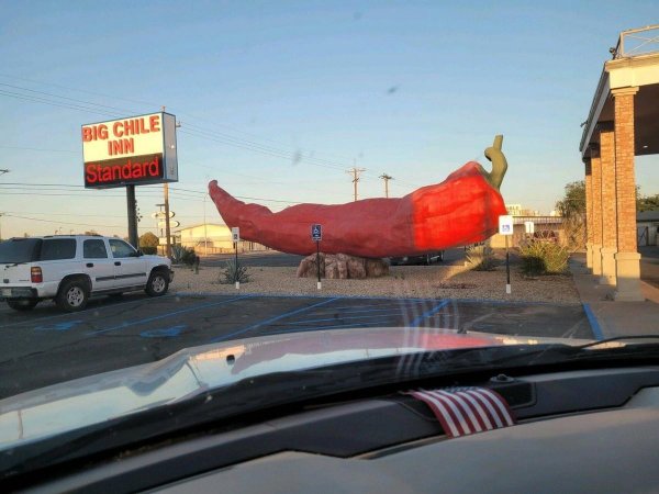 красные перцы