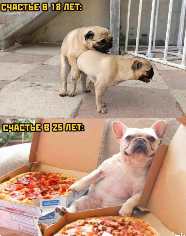 разные приколюхи