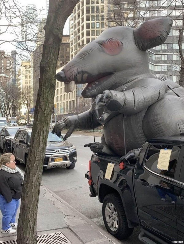 надувная крыса