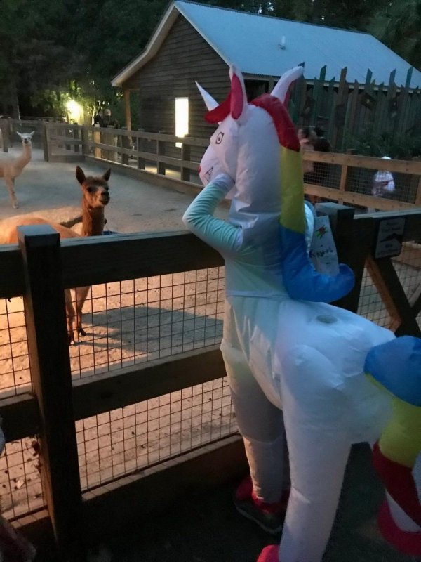 костюм единорожка