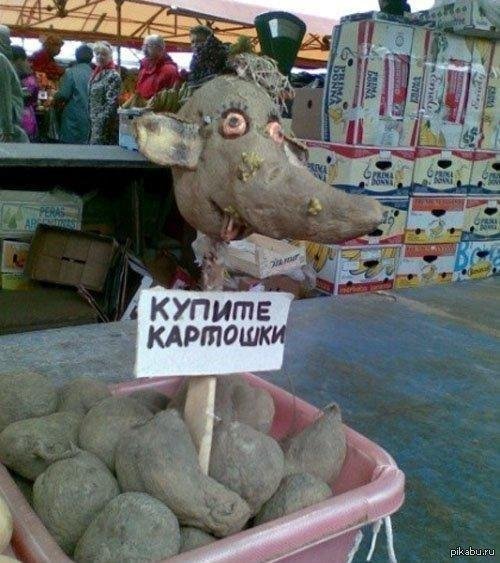 картошка прикол