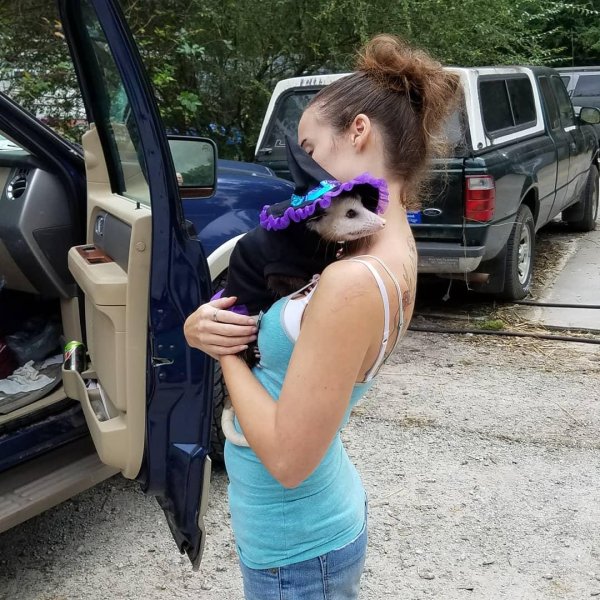 подборка приколов