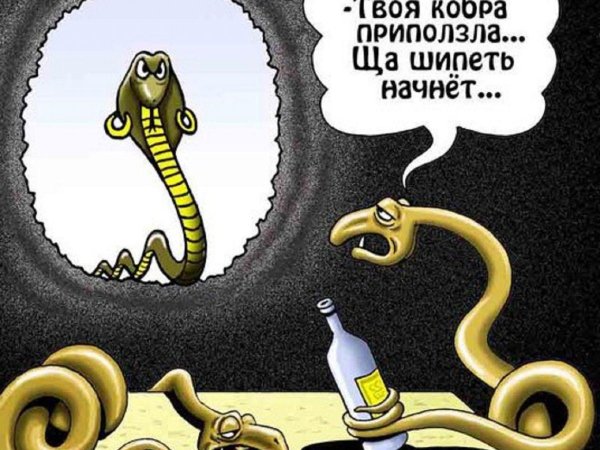 Змея