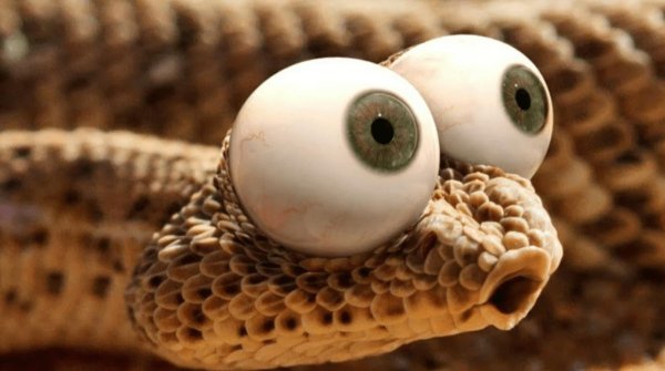 голова змеи