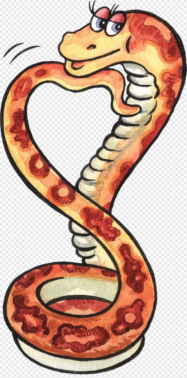 рисунок со змеей