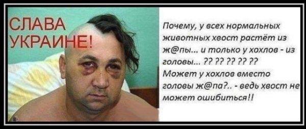 обидное для хохла