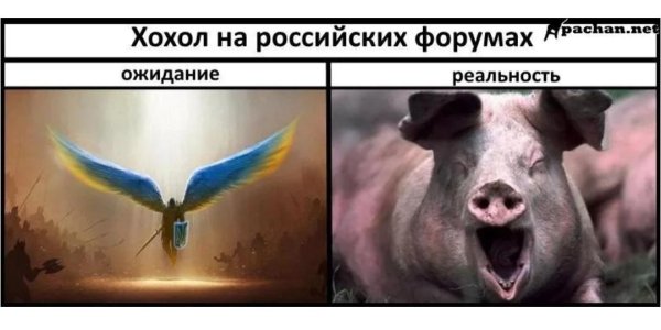 порошенко свин