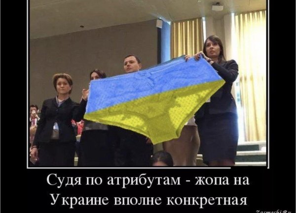 цвета украинского флага