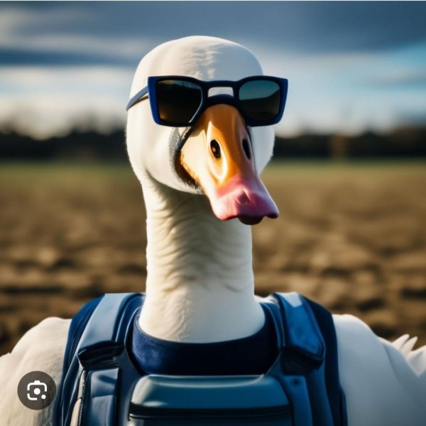 крутая утка