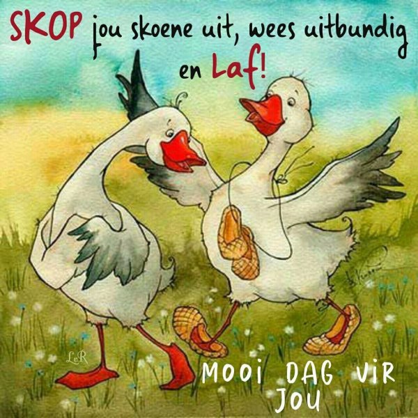 два веселых гуся