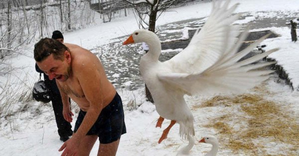 друг познается в беде