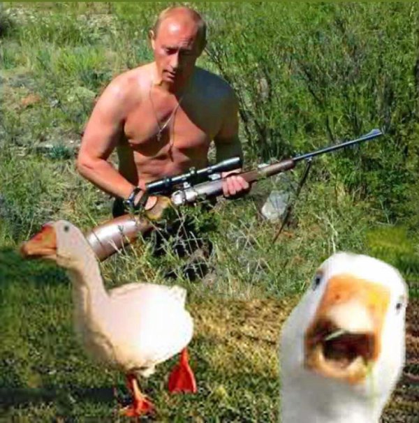 путин с ружьем