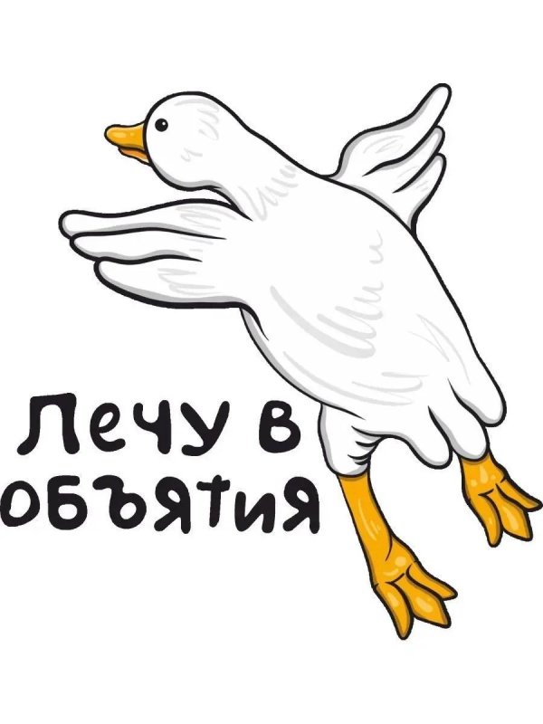 гусь обнимусь