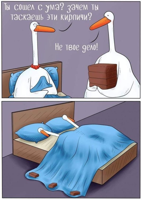 приколы перед сном