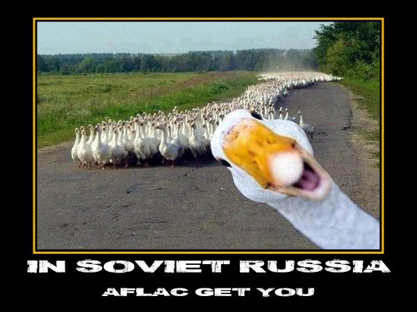 мы готовы прикол