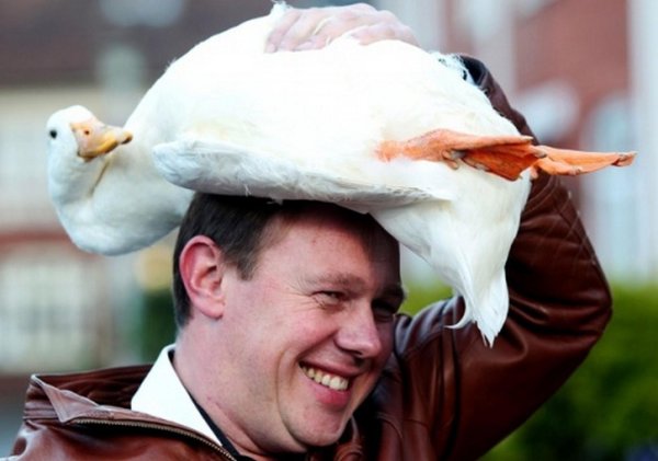 утка человек