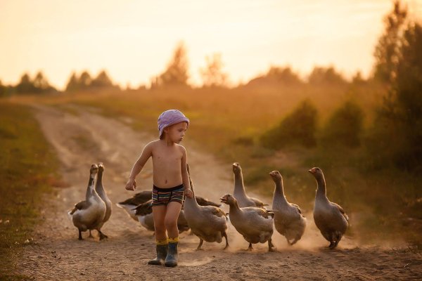 дети в деревне