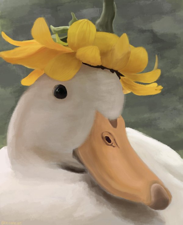 милая уточка