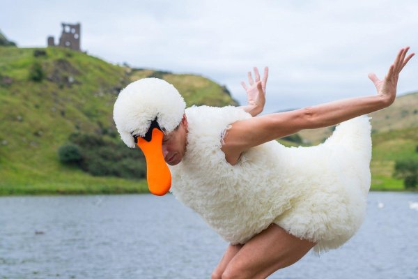 лебединое озеро костюмы