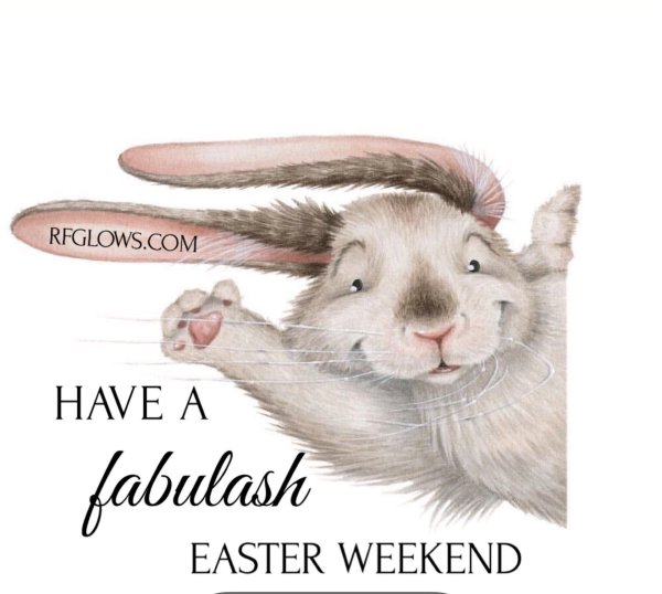 зайцы смешные