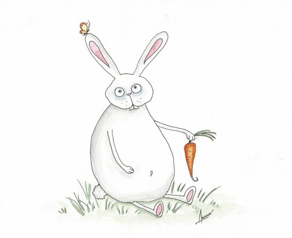 зайцы смешные