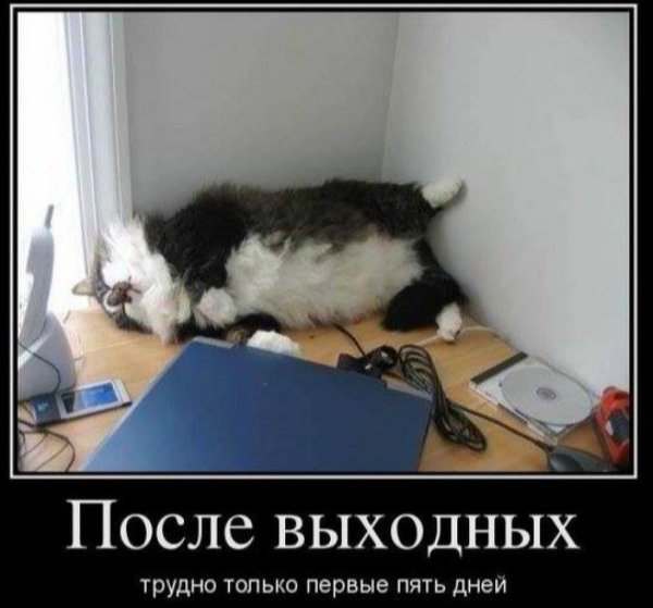После новогодних праздников