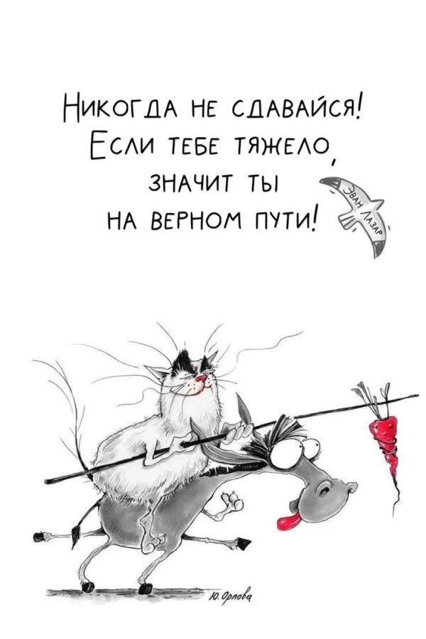 веселые цитаты