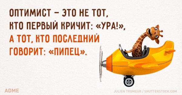 пессимист оптимист