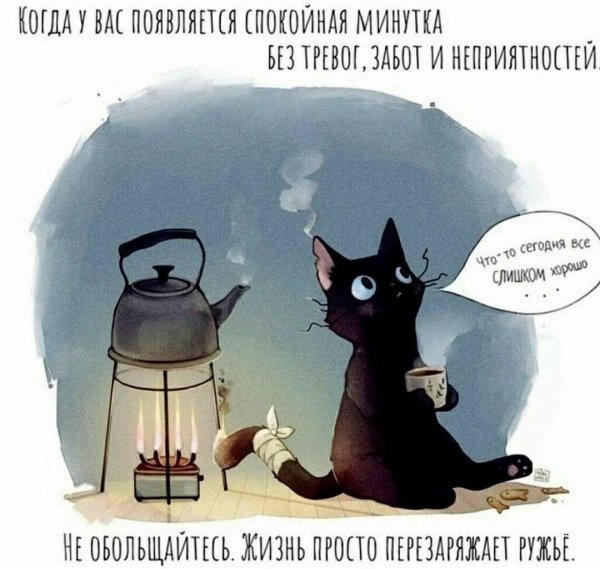 рисованные коты