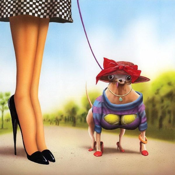 каблук демотиватор