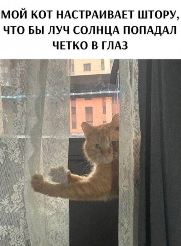 лучами солнца