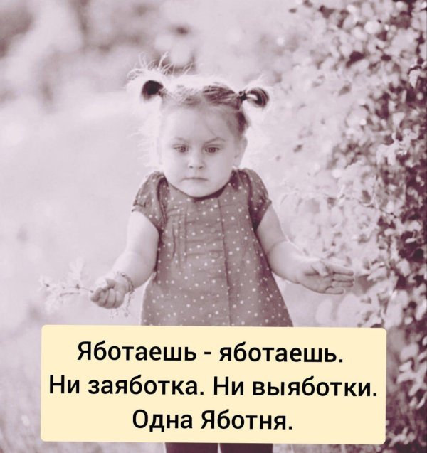 веселые афоризмы