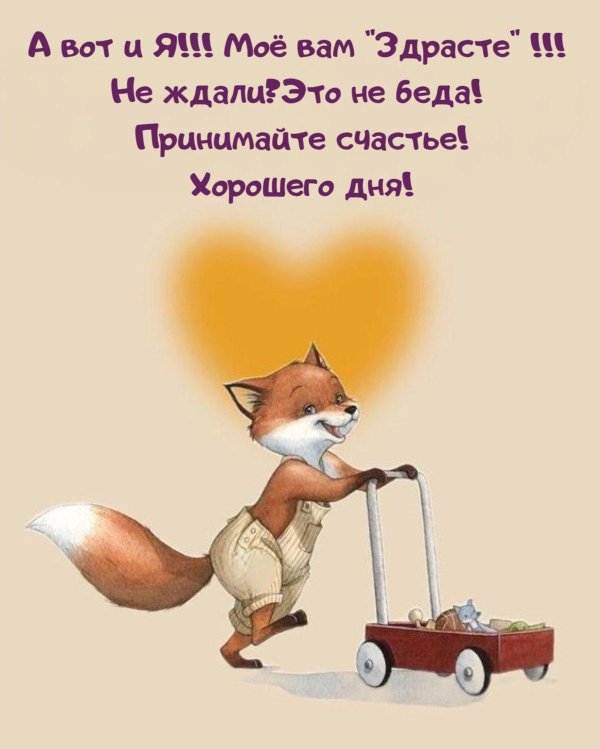 лиса доброе утро