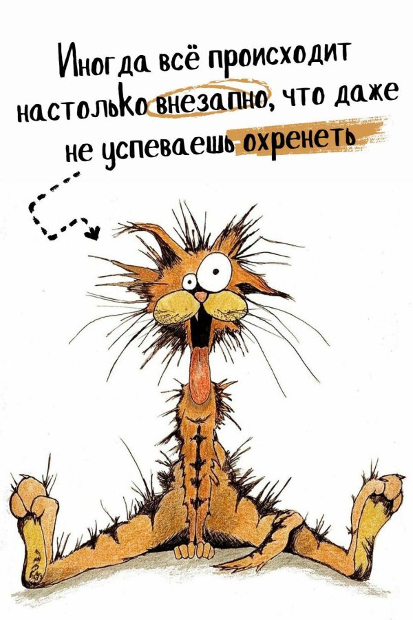 смешные открытки