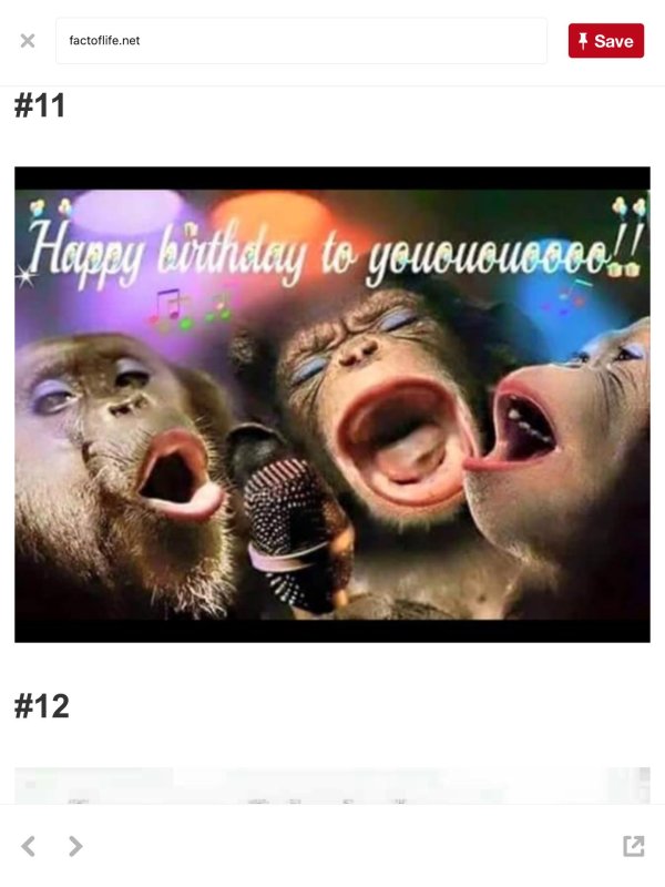 поющая обезьяна