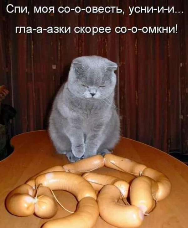 Про кошек